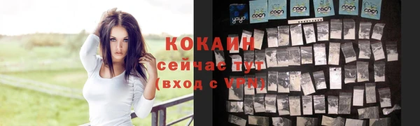 стаф Беломорск