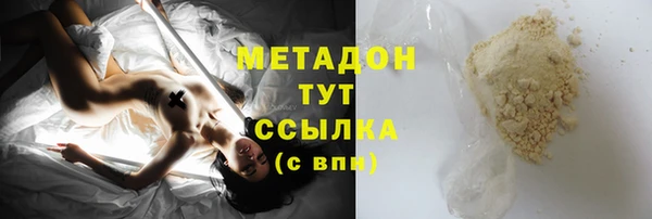 гидра Богданович