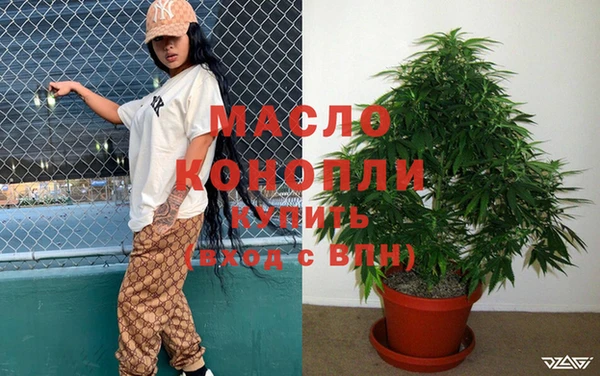 гидра Богданович