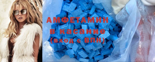 гидра Богданович