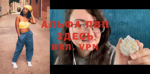 гидра Богданович