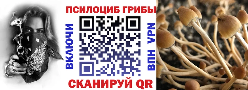 Галлюциногенные грибы ЛСД  mega ONION  Буй 