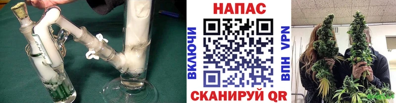 Каннабис SATIVA & INDICA  как найти   Буй 